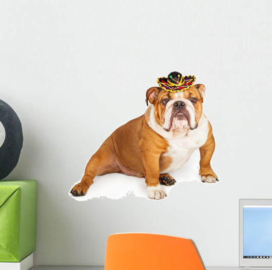 Funny Mexican Bulldog Wearing Wall Decal