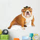 Funny Mexican Bulldog Wearing Wall Decal