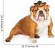 Funny Mexican Bulldog Wearing Wall Decal