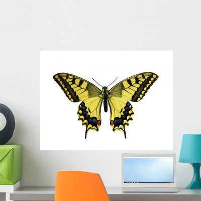 Butterfly Papilio Machaon Wall Decal shown on a wall