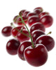 Cherry Group Wall Decal