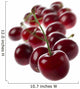 Cherry Group Wall Decal