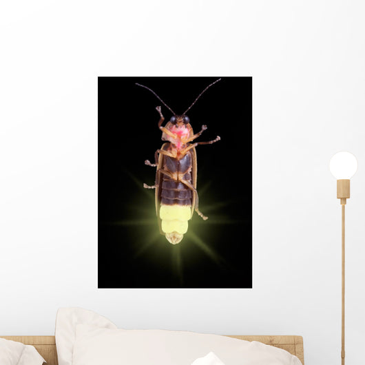 Glowing Firefly Wall Decal
