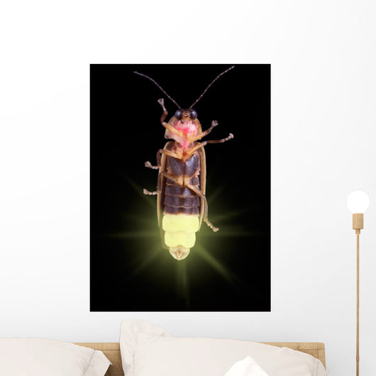 Glowing Firefly Wall Decal