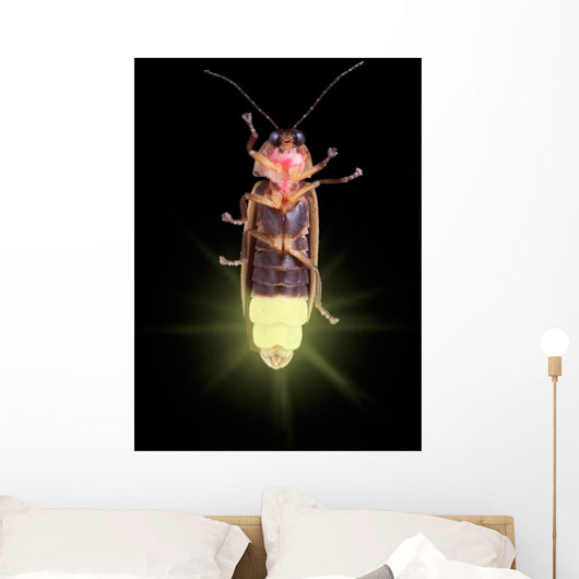 Glowing Firefly Wall Decal