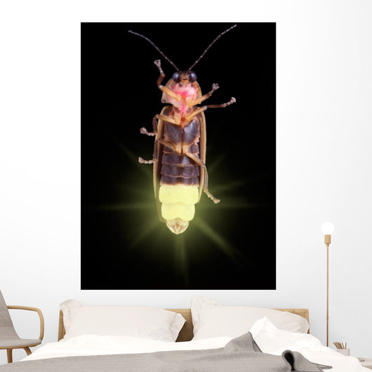 Glowing Firefly Wall Decal