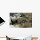 Two Skydivers Freefall Wall Decal