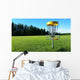 Disc Golf Wall Decal