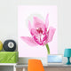 Orchid Wall Decal