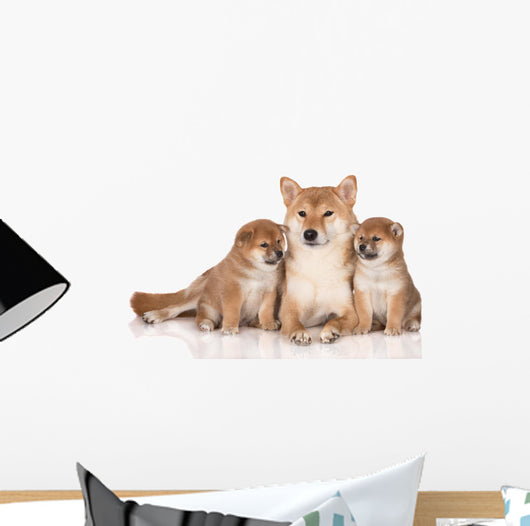 Shiba Inu Dog Puppies Wall Decal