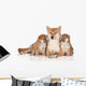 Shiba Inu Dog Puppies Wall Decal
