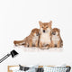 Shiba Inu Dog Puppies Wall Decal