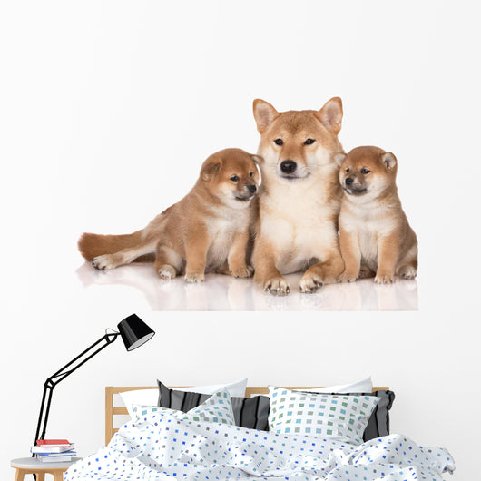 Shiba Inu Dog Puppies Wall Decal