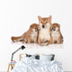 Shiba Inu Dog Puppies Wall Decal