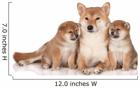 Shiba Inu Dog Puppies Wall Decal