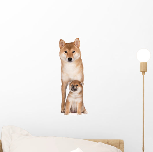 Red Shiba Inu Dog Wall Decal