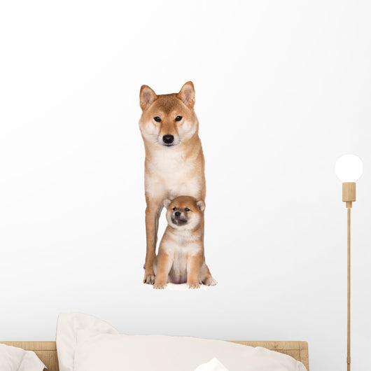 Red Shiba Inu Dog Wall Decal