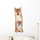 Red Shiba Inu Dog Wall Decal
