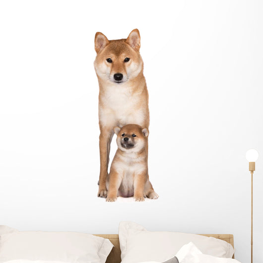 Red Shiba Inu Dog Wall Decal