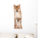 Red Shiba Inu Dog Wall Decal