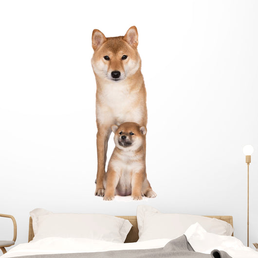 Red Shiba Inu Dog Wall Decal