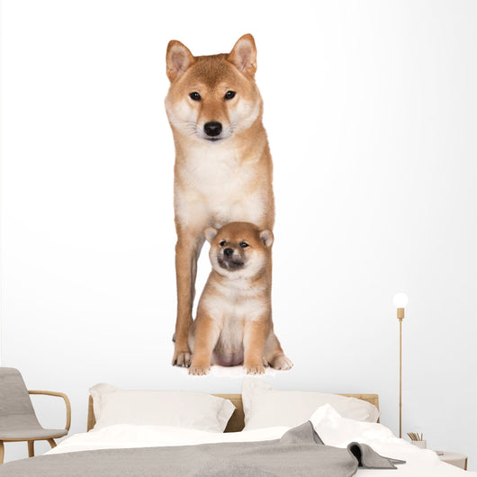 Red Shiba Inu Dog Wall Decal