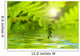 Fern Leaf Reflected Water Wall Decal