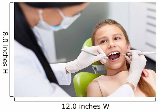 Teeth Checkup Dentist's Office Wall Decal