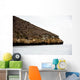 Rocks Bartolome Islands Galapagos Wall Decal