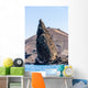 Pinnacle Rock Bartolome Islands Wall Decal