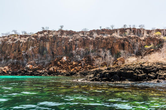 Plaza Island Galapagos Wall Decal