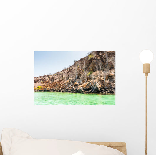 Plaza Island Galapagos Islands Wall Decal