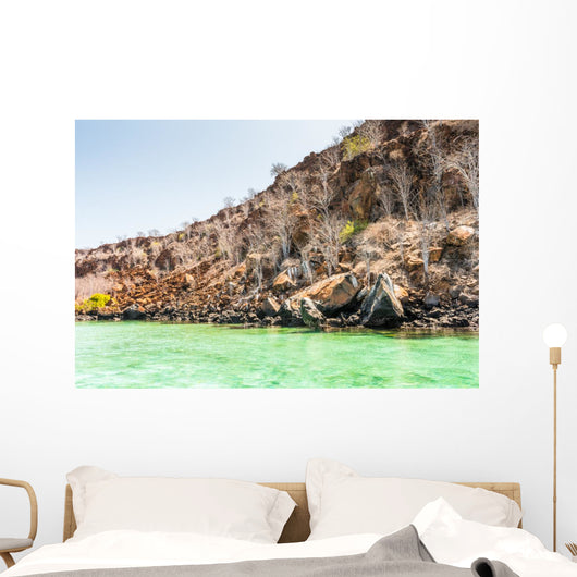 Plaza Island Galapagos Islands Wall Decal