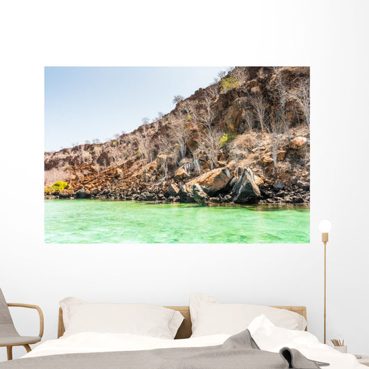 Plaza Island Galapagos Islands Wall Decal