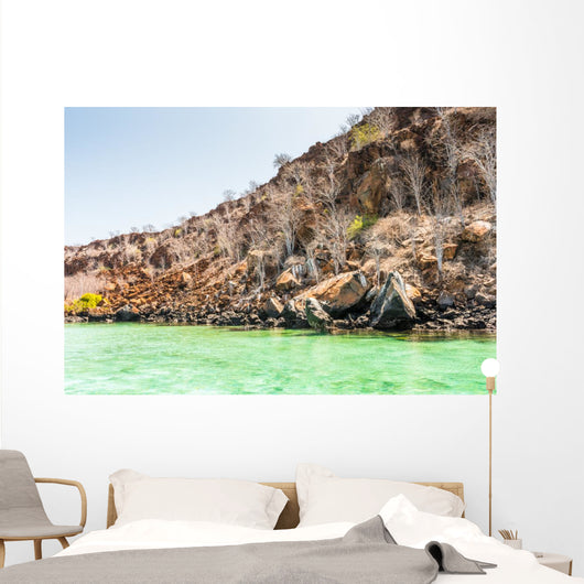 Plaza Island Galapagos Islands Wall Decal