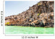 Plaza Island Galapagos Islands Wall Decal