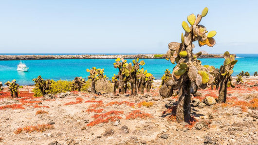 Nature Plaza Island Galapagos Wall Decal