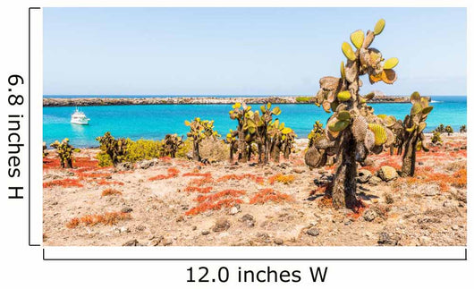 Nature Plaza Island Galapagos Wall Decal