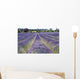 Lavender Field Wall Decal