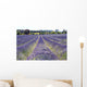 Lavender Field Wall Decal