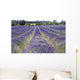 Lavender Field Wall Decal