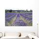 Lavender Field Wall Decal