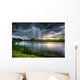 Stormy Reflection Wall Decal