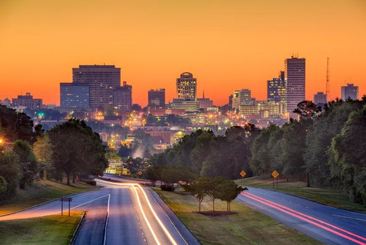 Columbia Sc Skyline Wall Decal