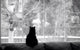 Silhouette Cat Watching for Wall Decal