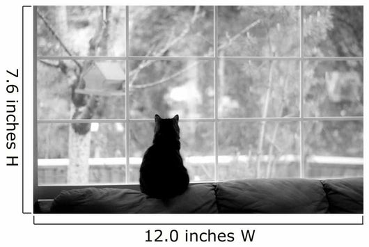 Silhouette Cat Watching for Wall Decal