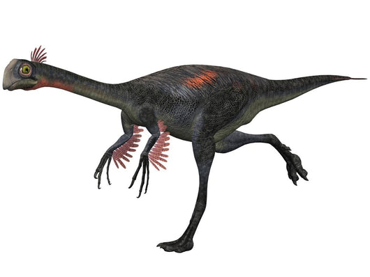 Gigantoraptor Erlianensis 3D Dinosaur Wall Decal