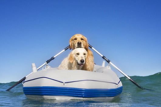 Two Dogs Boat Wall Decal