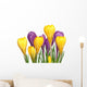 Crocuses Wall Decal