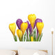 Crocuses Wall Decal